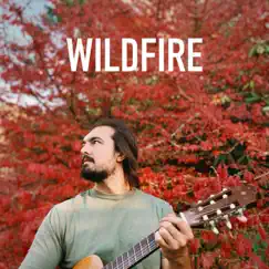 Wildfire (Acoustic Version) - Single by David Sorokanich album reviews, ratings, credits