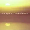 Qi Gong & Tai Chi Nature Music – World New Age Music for a New Beginnning & Rejuvenation album lyrics, reviews, download