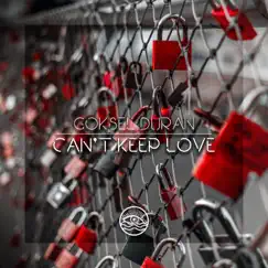 Can't Keep Love - Single by Goksel Duran album reviews, ratings, credits