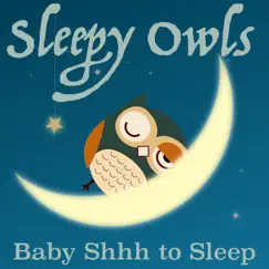 Baby Shhh to Sleep - EP by Sleepy Owls album reviews, ratings, credits