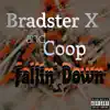 Fallin' Down - Single album lyrics, reviews, download