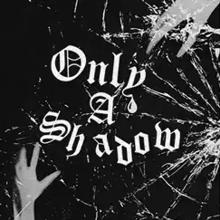Only a Shadow - Single by White Reaper album reviews, ratings, credits