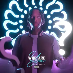 Who Are You - Single by Yung Spiice album reviews, ratings, credits