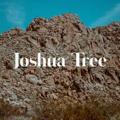 Joshua Tree by Gregory Pexon album reviews, ratings, credits