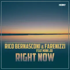Right Now (feat. Mink Jo) [Remixes] by Rico Bernasconi & Farenizzi album reviews, ratings, credits