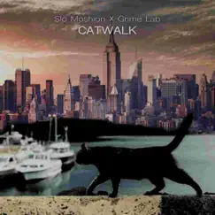 Catwalk (Journals (Radio Edit)) - Single by Slo Moshion & Grime Lab album reviews, ratings, credits