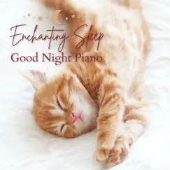 Enchanting Sleep Good Night Piano by Piano Cats album reviews, ratings, credits