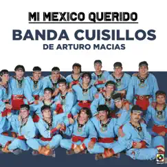 Mi México Querido by Banda Cuisillos album reviews, ratings, credits