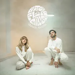 Crónica Adicción - Single by Hotel Flamingo album reviews, ratings, credits