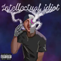 Intellectual Idiot by Mink Johnson album reviews, ratings, credits