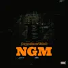 Ngm - Single (feat. VALED) - Single album lyrics, reviews, download