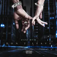Don't Leave - Single by Zizzmtm album reviews, ratings, credits