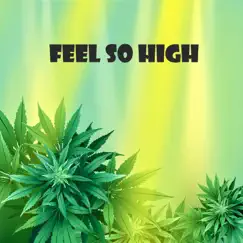 Feel So High - Single by Nuizance album reviews, ratings, credits