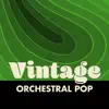 Vintage Orchestral Pop (Remastered) album lyrics, reviews, download