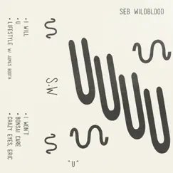 U by Seb Wildblood album reviews, ratings, credits