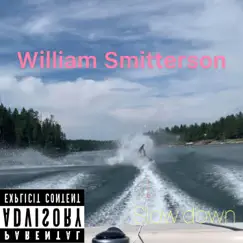 Slow Down - Single by William Smitterson album reviews, ratings, credits