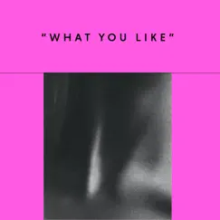 What You Like - Single by Young Jzo album reviews, ratings, credits
