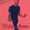 Terrell Love (Top 10 Remix) - Single album lyrics, reviews, download