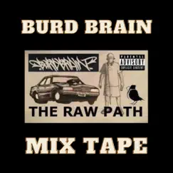 Bag of Pills - Single by Burd Brain album reviews, ratings, credits