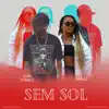 Sem Sol (feat. Malu) - Single album lyrics, reviews, download