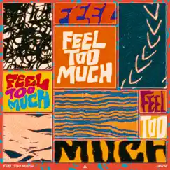 Feel Too Much - Single by JAWN album reviews, ratings, credits