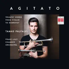 Agitato by Tamás Palfalvi & Franz Liszt Chamber Orchestra album reviews, ratings, credits