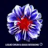 Liquid Drum & Bass Sessions 2019 Vol 6 album lyrics, reviews, download