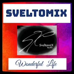 Wonderful Life - Single by SveltomiX album reviews, ratings, credits