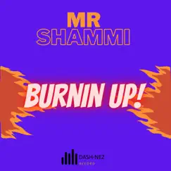 Burnin' Up (feat. Mr Shammi & Dash) - Single by Faby Nez album reviews, ratings, credits