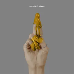 Lowborn by Anberlin album reviews, ratings, credits