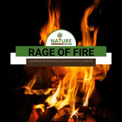 Rage of Fire - Immersive Soundtracks for Delightful Evenings by Various Authors album reviews, ratings, credits