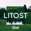 Litost - Single album lyrics, reviews, download