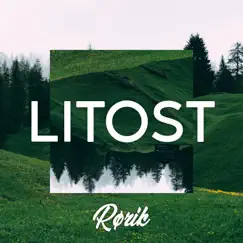 Litost - Single by Rørik album reviews, ratings, credits