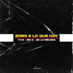 Bobo E Lo Que Hay (feat. Big O & Dk la Melodia) - Single by T.Y.S album reviews, ratings, credits