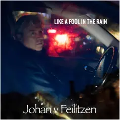 Like a Fool in the Rain - Single by Johan v Feilitzen album reviews, ratings, credits