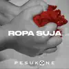 Ropa Suja song lyrics