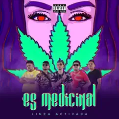 Es Medicinal - Single by Linea Activada album reviews, ratings, credits