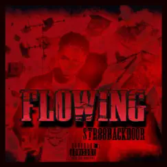 Str88backdoor - Flowing - Single by TeeSquadJay album reviews, ratings, credits