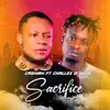 Sacrifice - Single album lyrics, reviews, download