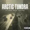 Arctic Tundra (feat. Vcon & Bino) - Single album lyrics, reviews, download