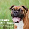 Relaxing Music Therapy for Dog – Soft Instrumental to Calm Down Pet While You Are Out, Mellow Sounds for Puppies album lyrics, reviews, download