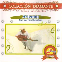 12 Temas Inolvidables by Artemio Con Los Pies Descalzos album reviews, ratings, credits