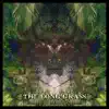 The Long Grass (feat. Sunrizen) - Single album lyrics, reviews, download