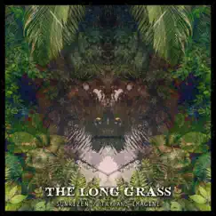 The Long Grass (feat. Sunrizen) - Single by Try and Imagine album reviews, ratings, credits