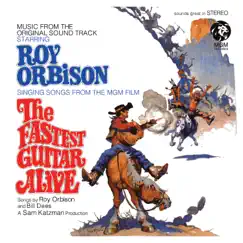 The MGM Years 1965-1973 by Roy Orbison album reviews, ratings, credits