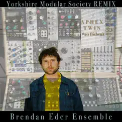 #20 (Lichen) [Yorkshire Modular Society Remix] - Single by Brendan Eder Ensemble album reviews, ratings, credits