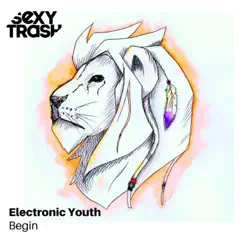 Begin - Single by Electronic Youth album reviews, ratings, credits