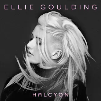 Download Burn Ellie Goulding MP3