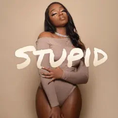 Stupid - Single by Beylor album reviews, ratings, credits