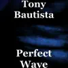Perfect Wave - Single album lyrics, reviews, download